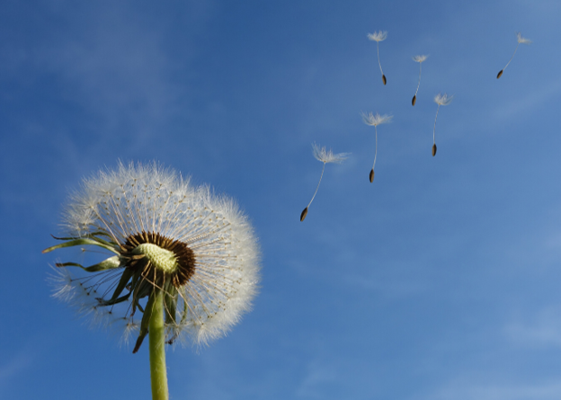 Leer loslaten - sedona methode